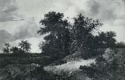 House in a Grove